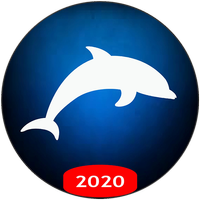 Dolphin VPN - Faster & Safer Internet, Free VPN APK