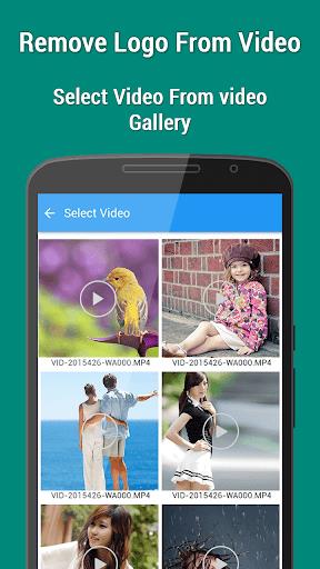 Remove Logo From Video Screenshot4
