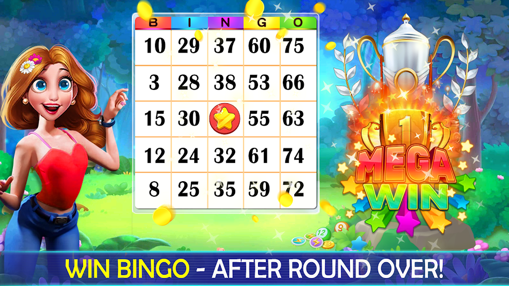 Bingo Play: Bingo Offline Fun Screenshot2