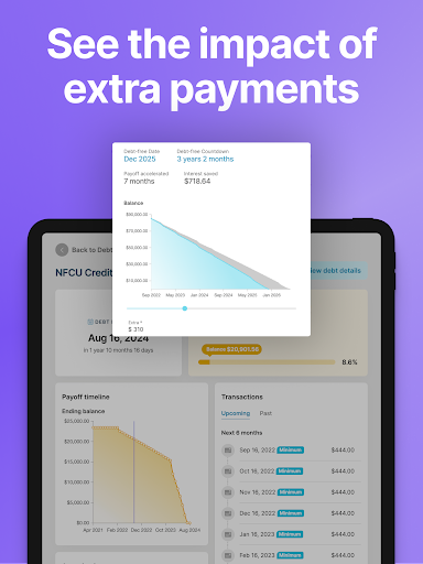 Debt Payoff Planner Screenshot2