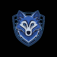 WOLF VIP VPN APK