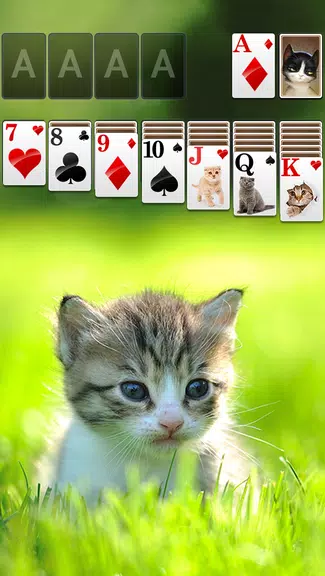 Solitaire Little Cat Theme Screenshot1