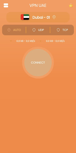 VPN UAE - Private & Secure VPN Screenshot3