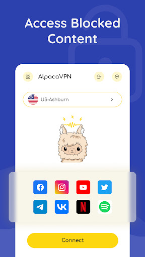 Alpaca VPN proxy master Screenshot2