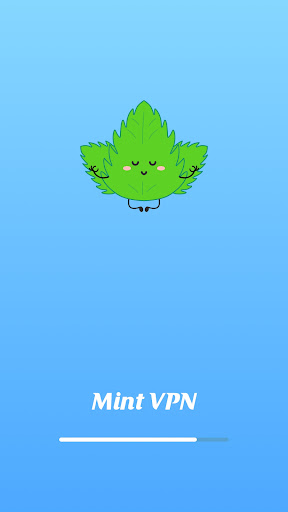 Mint VPN Screenshot3