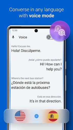 iTranslate Translator & Dictionary Screenshot2