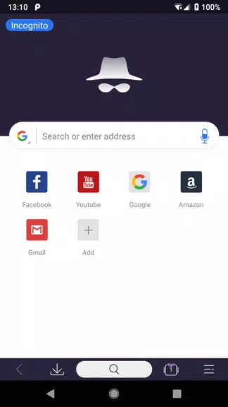 Private Browser - Incognito Window with VPN Screenshot1