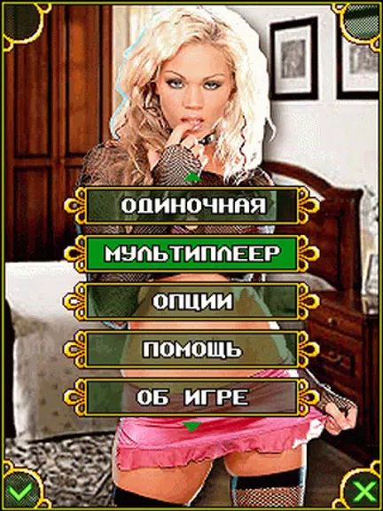 Дурак 3: Interactive Screenshot3