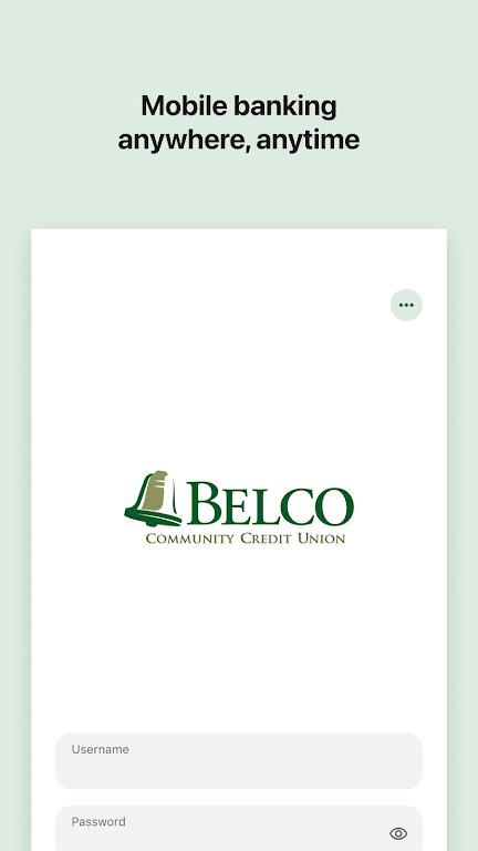 Belco CU Money Manager Screenshot1