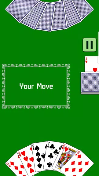 Fool - Durak Screenshot4