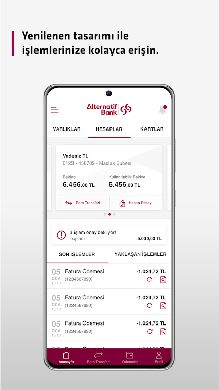 Alternatif Bank Mobil Screenshot3