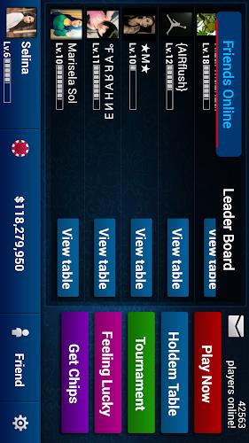 Texas Holdem Poker Pro Screenshot3