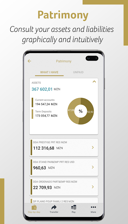 Millennium bim Smart IZI Screenshot3