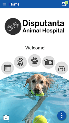 Disputanta Animal Hospital Screenshot1