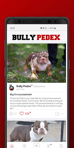 Bully Pedex Bully Board Screenshot1