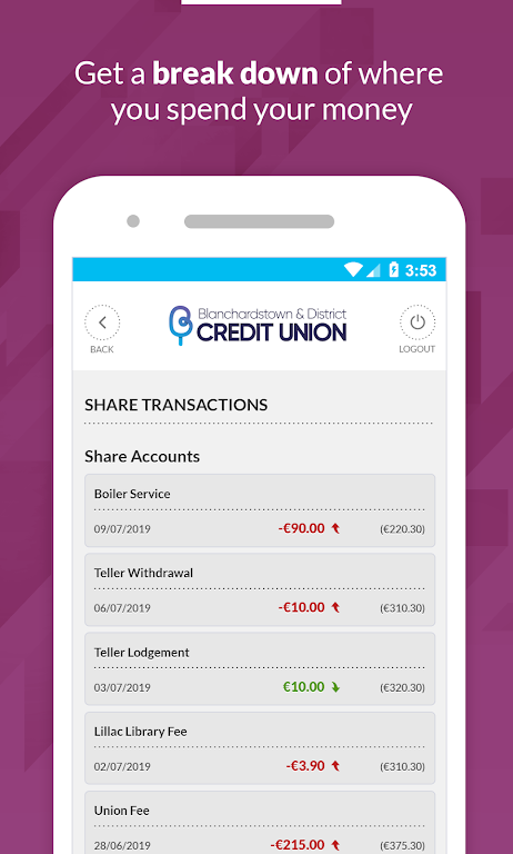 Blanchardstown Credit Union Screenshot4