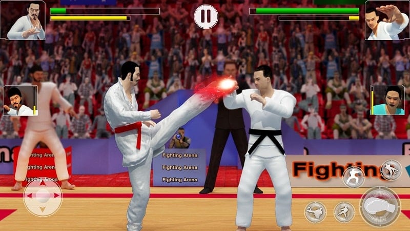 Karate Fighting Screenshot1