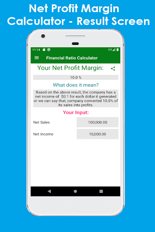 Financial Ratio Calculator Screenshot3