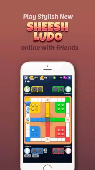 Sheesh Ludo: Best Dice Game 2018 Screenshot1