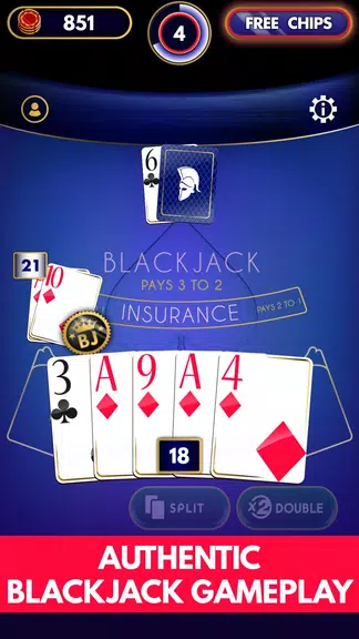 Blackjack Offline Screenshot3