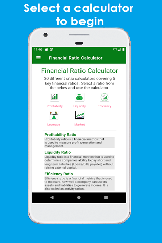 Financial Ratio Calculator Screenshot1