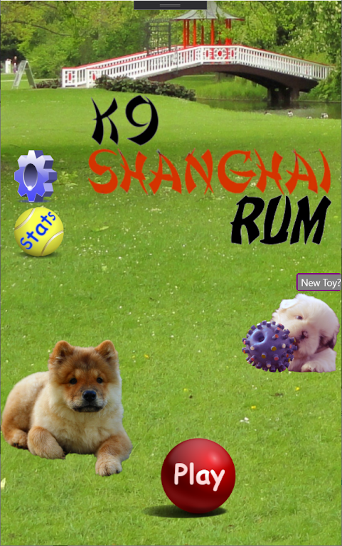 K9 Shanghai Rum: Multiplayer Rummy Card Game Screenshot1