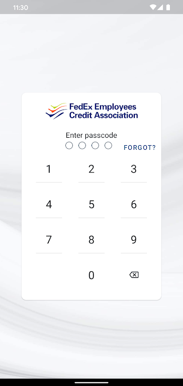 FedEx Employees Credit Assoc Screenshot1