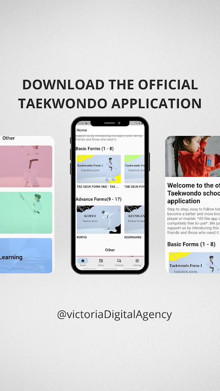 Taekwondo School Screenshot2