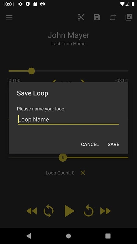 Loop Player Screenshot3