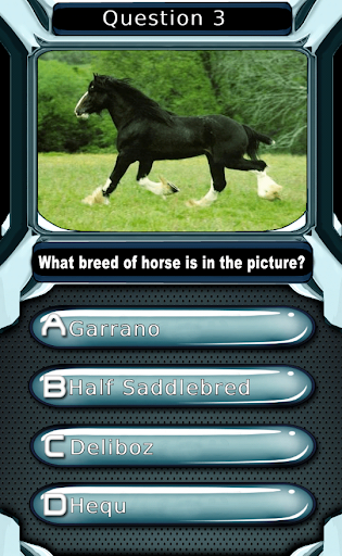 My Horse & Pony Breeds Quiz HD Screenshot3