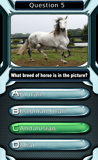 My Horse & Pony Breeds Quiz HD Screenshot4