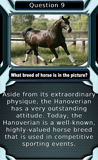 My Horse & Pony Breeds Quiz HD Screenshot1