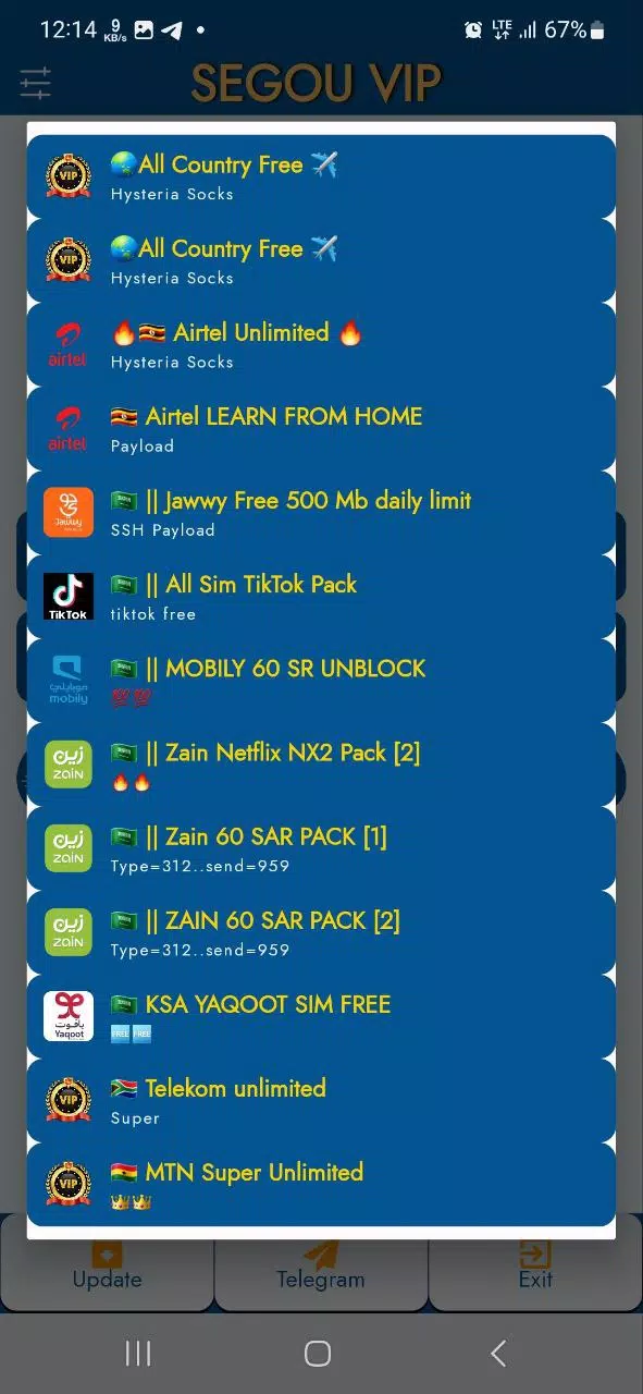 SEGOU VIP VPN Screenshot3