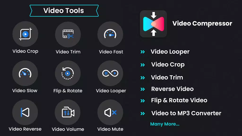 Video Compressor & Converter Screenshot2