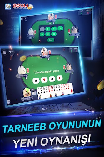 Türkiye Texas Poker Screenshot2