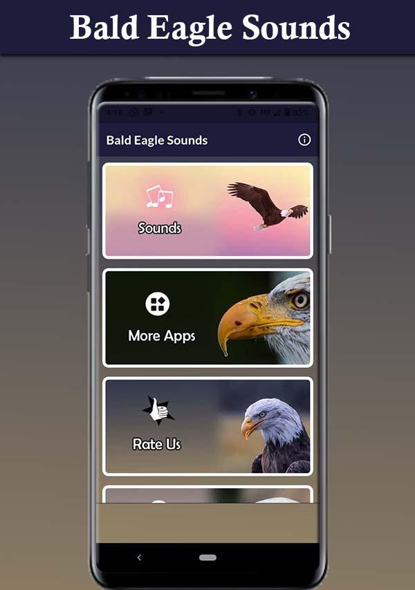 Bald Eagle Sounds Screenshot3