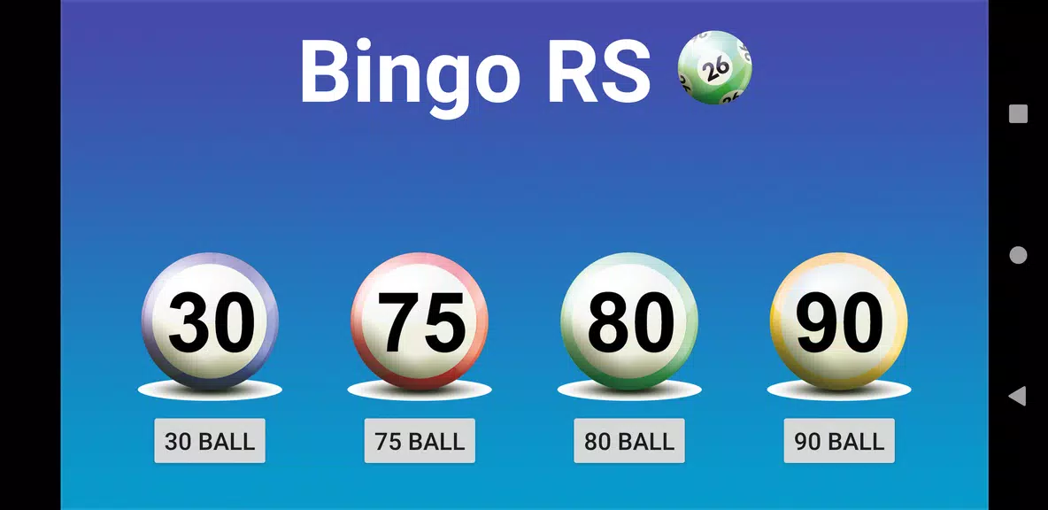 Bingo RS Screenshot1