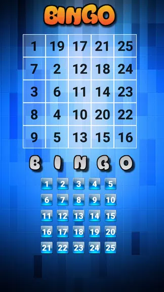 Bingo Game:2 Player Game Screenshot3