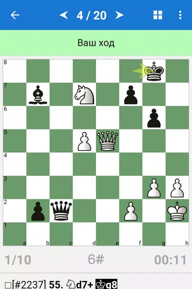 Karjakin - Elite Chess Player Screenshot1