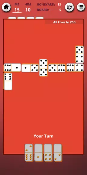 Dominos Classic Screenshot1