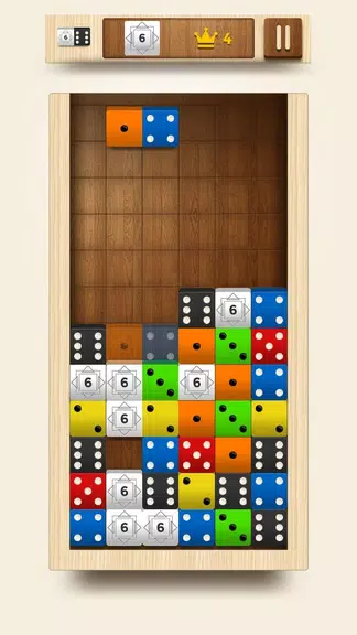 Domino Fit Screenshot3