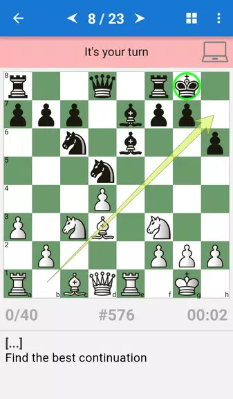 Chess Middlegame III Screenshot2