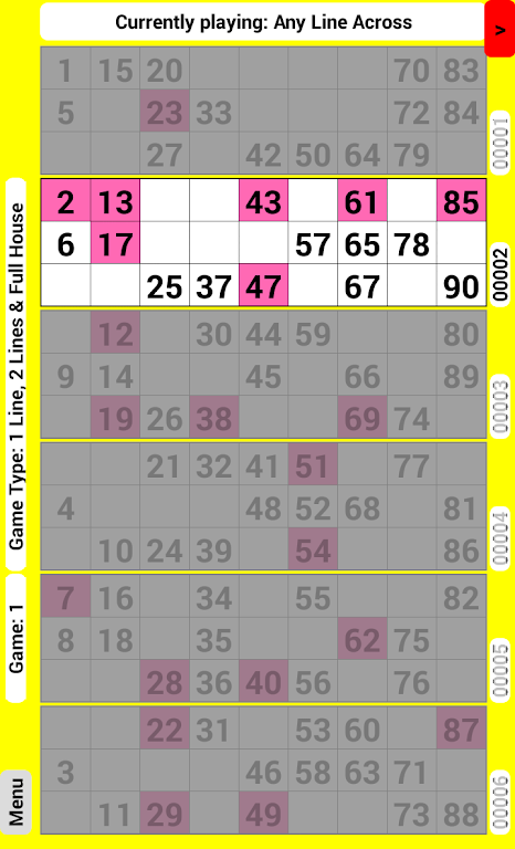 Bingo Tickets 90 Screenshot3