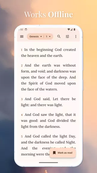 KJV Bible - Reina Valera Screenshot3