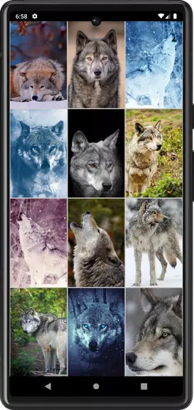 Wolf Wallpapers Screenshot4