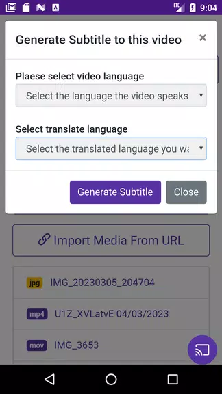 Video Subtitle Generator Screenshot4