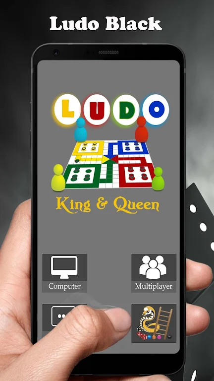 Ludo Black Screenshot1