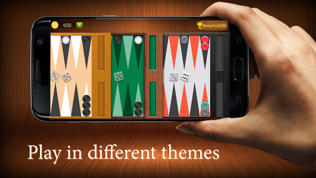 Backgammon board game - Tavla Screenshot2