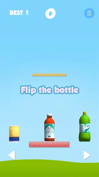 Water Bottle Flip 3D Clash Screenshot1