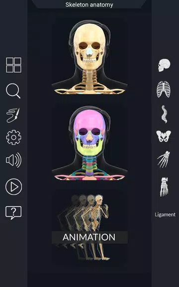 My Skeleton Anatomy Screenshot1